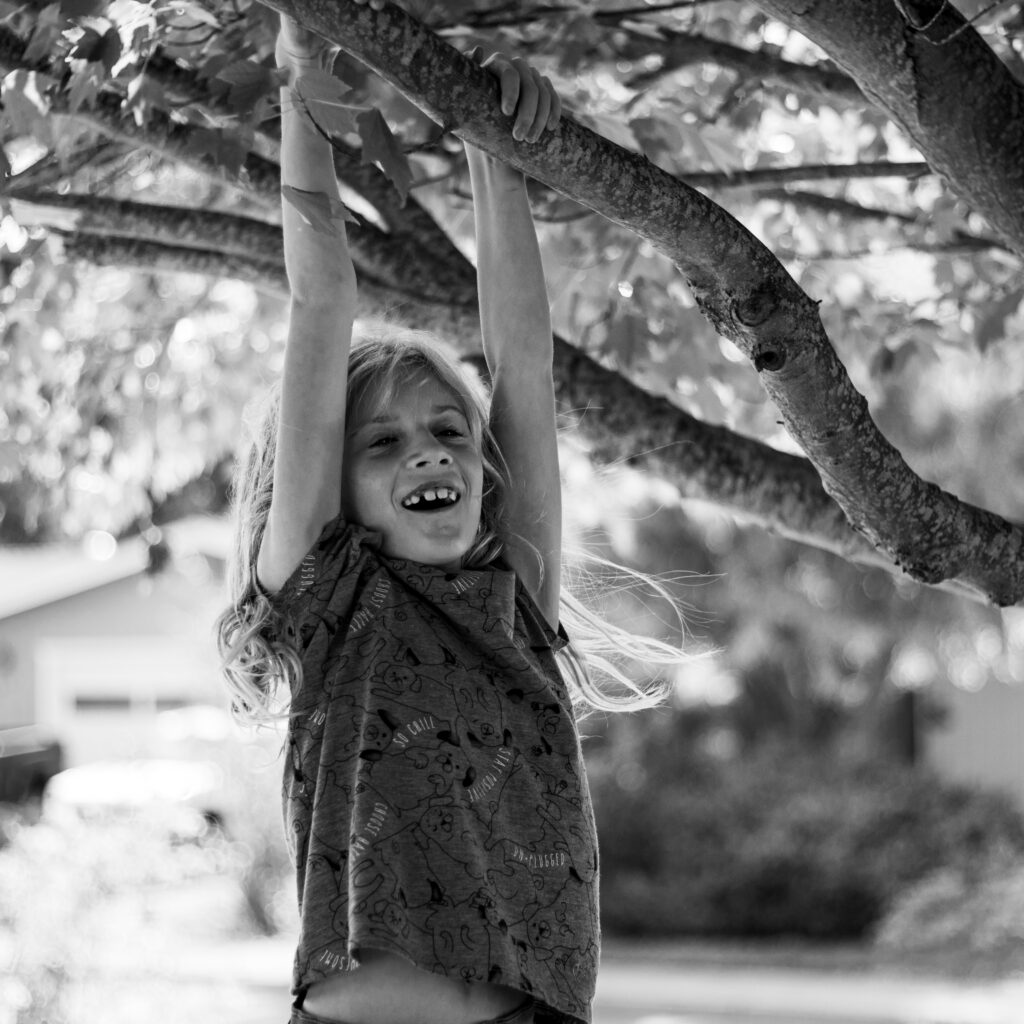 brielle tree 1